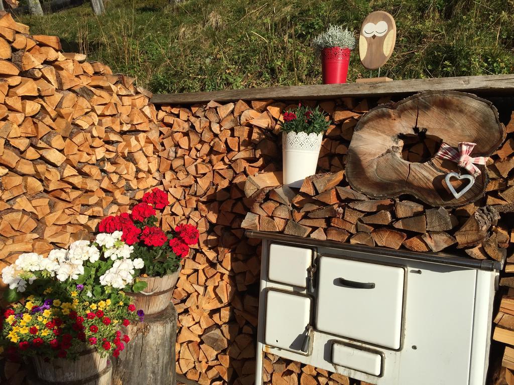Apart Ferienraich Arzl im Pitztal Buitenkant foto