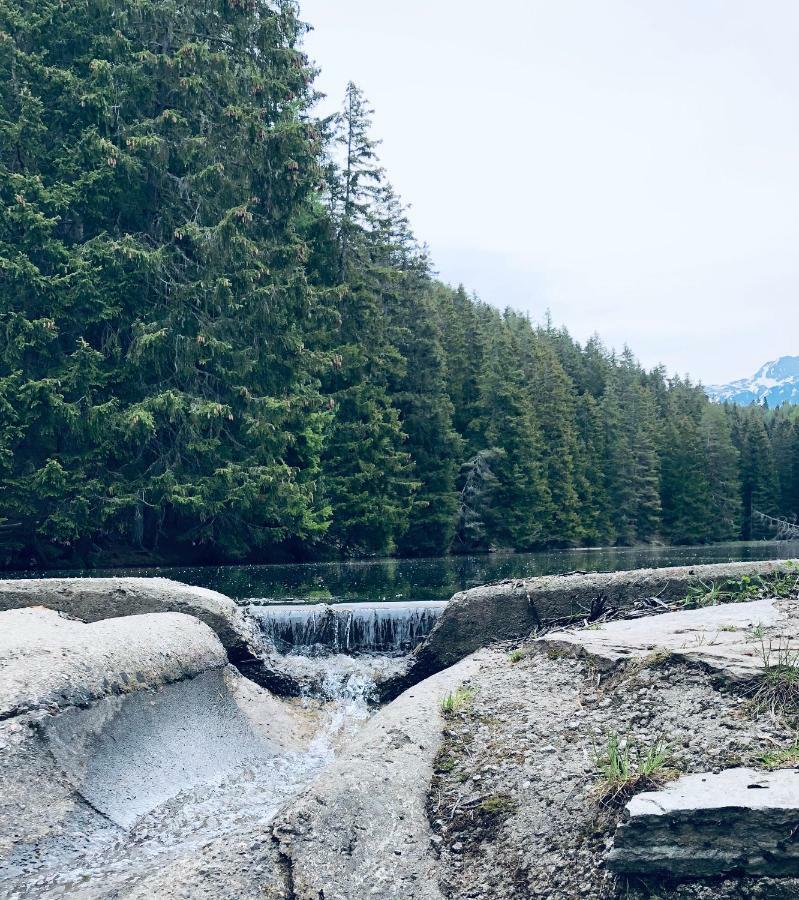Apart Ferienraich Arzl im Pitztal Buitenkant foto
